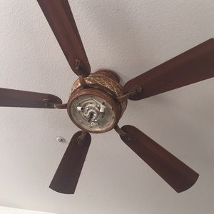 Meet your Posher, Tony